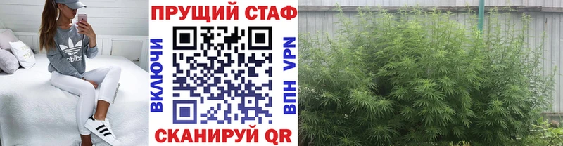 Как найти закладки Свободный КОКАИН Марихуана СК ГАШ МЕФ