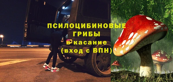 трава Беломорск