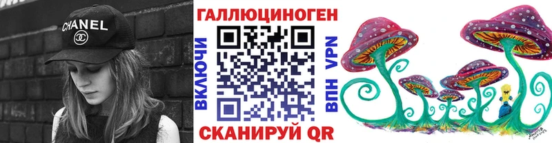 где найти наркотики  Свободный  Галлюциногенные грибы Psilocybe 